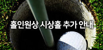 홀인원